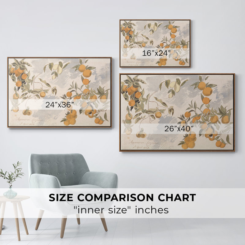 " Vintage Botanical -IV ", 25" H x 37" W x 2" D, Walnut Floater Framed Canvas