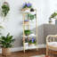 137.9 cm H x 49.78 cm W Ladder Bookcase