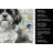 Black and White Shih Tzu Coastal Sea Glass Kitchen Towel-871463506