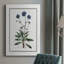 Soft Botanical II Soft Botanical II par - Peinture sur