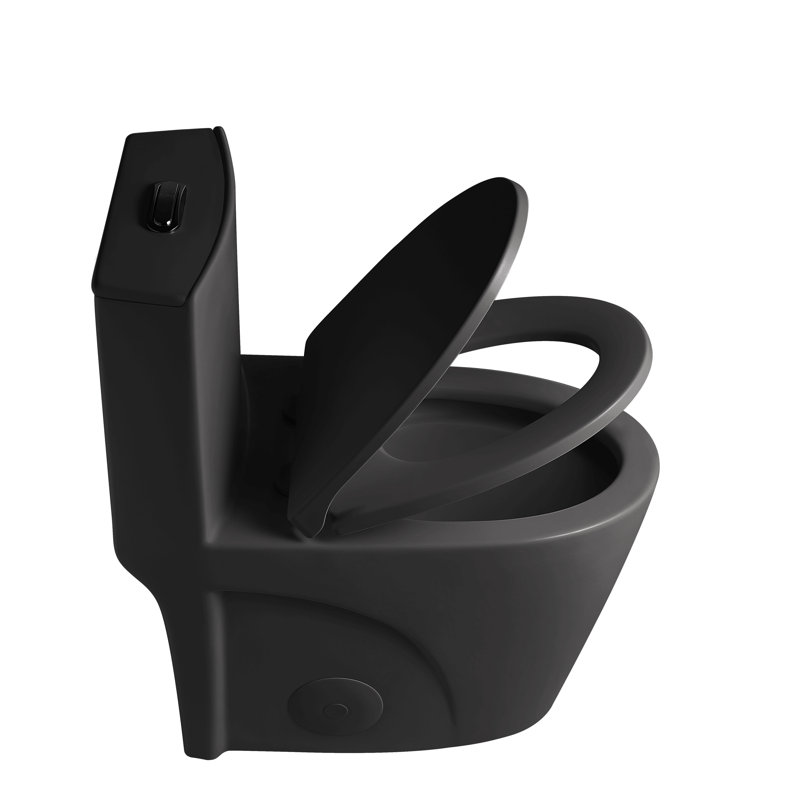Small Compact One Piece Toilet Dual Flush, Matte Black