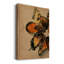 Couronne à oreilles II sur toile-885251956