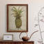 Pineapple Study I, toile encadrée de qualité supérieure - prête à être accrochée-910413700-910413703