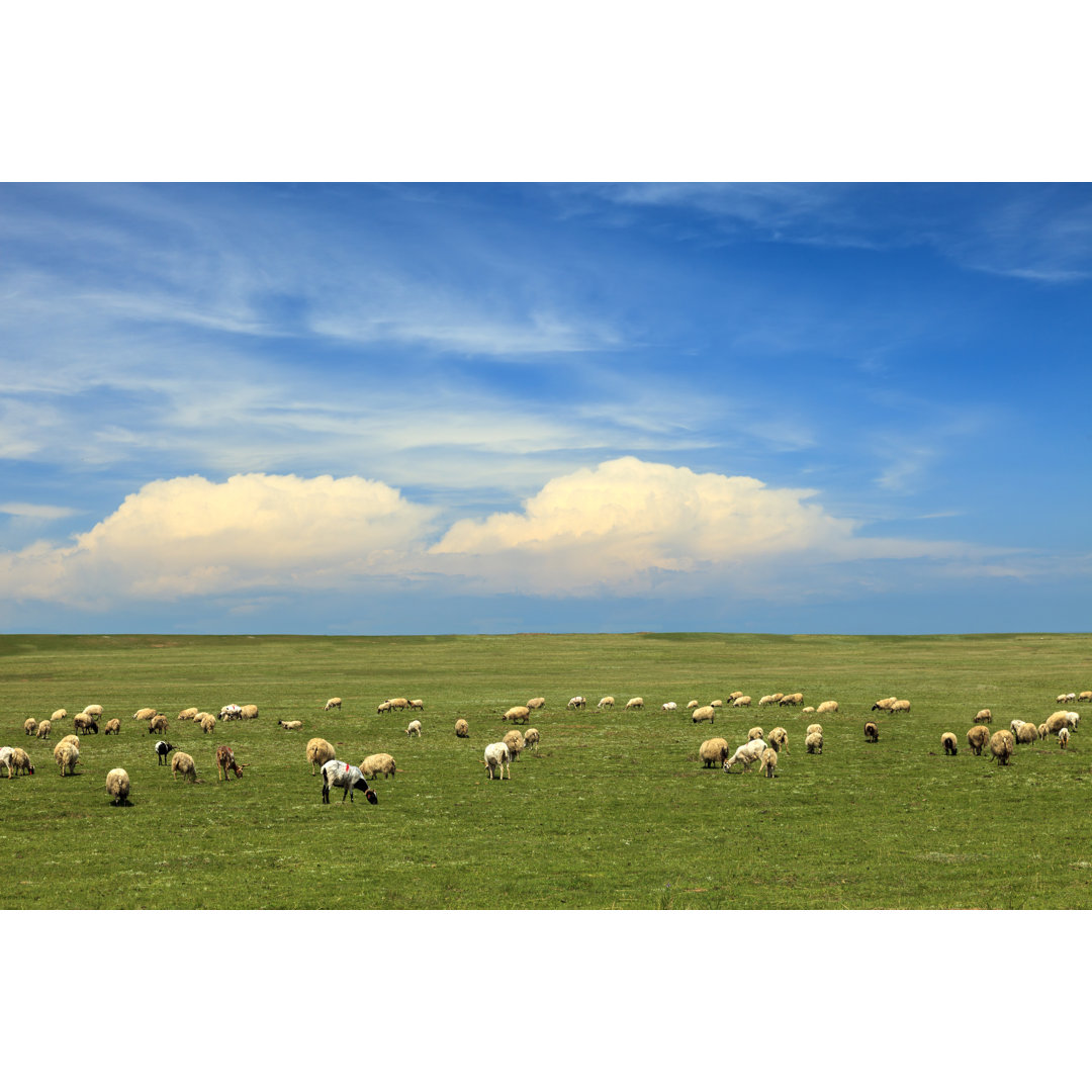 Beautiful Grasslands by Luxizeng - Drucken