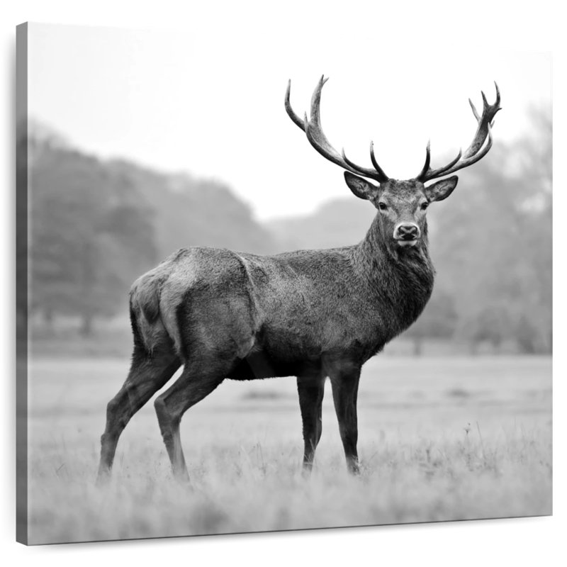 Bramer fier fier cerf BW