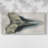Watercolor Sharks Tooth III- Gallery Wrapped Canvas -Ready to Hang-1807688564