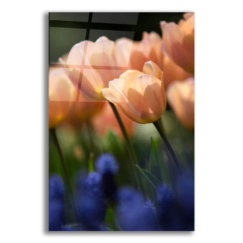 On Plastic/Acrylic Print, 12" W x 16" H
