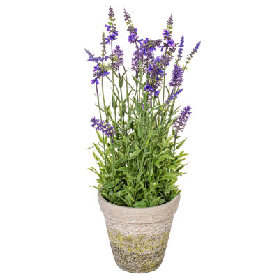 Lavender Floral Arrangement in Pot
