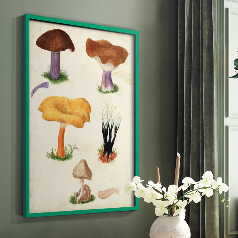 Reproduction encadrée Mushroom Species VII - bois massif, Vert, H 10 po x l 8 po