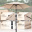 Cemil 225cm Market Parasol-1612975335