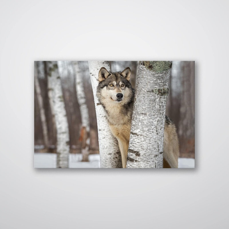Reproduction d'art loup gris, H 48 po x l 36 po x P 0,12 po, Métal sans cadre