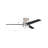 Raiden Indoor Smart Ceiling Fan with LED Light Kit and Wall Control, Works with Google Assistant, Amazon Alexa, and Siri Shortcuts.-2005743204-2005743207-2005743193