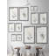 My Plants by Marmont Hill - 2 Piece Single Picture Frame Painting Set-72532446
