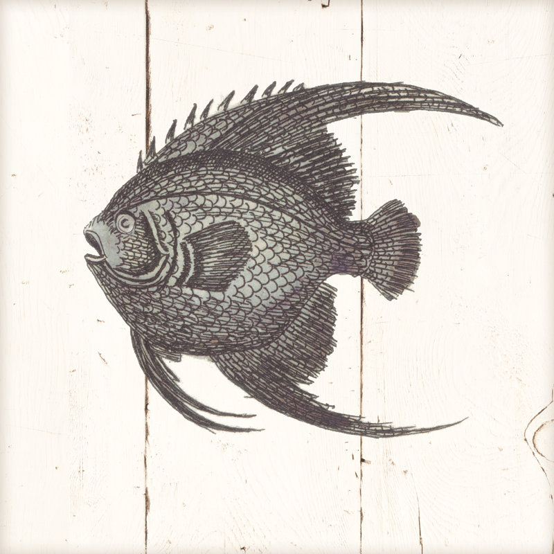 Fish Sketches IV Shiplap 1 Piece Wrapped Canvas Painting, 30cm H x 30cm W x 3.8cm D