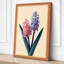 Hyacinth Study Botanical - Wrapped Canvas-829333659-829333660