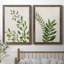 Botanical Wash I - ensemble de 2 reproductions-463140516-463140522-463140523