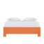Silas Queen Standard Bed, Black-372823318-372823319