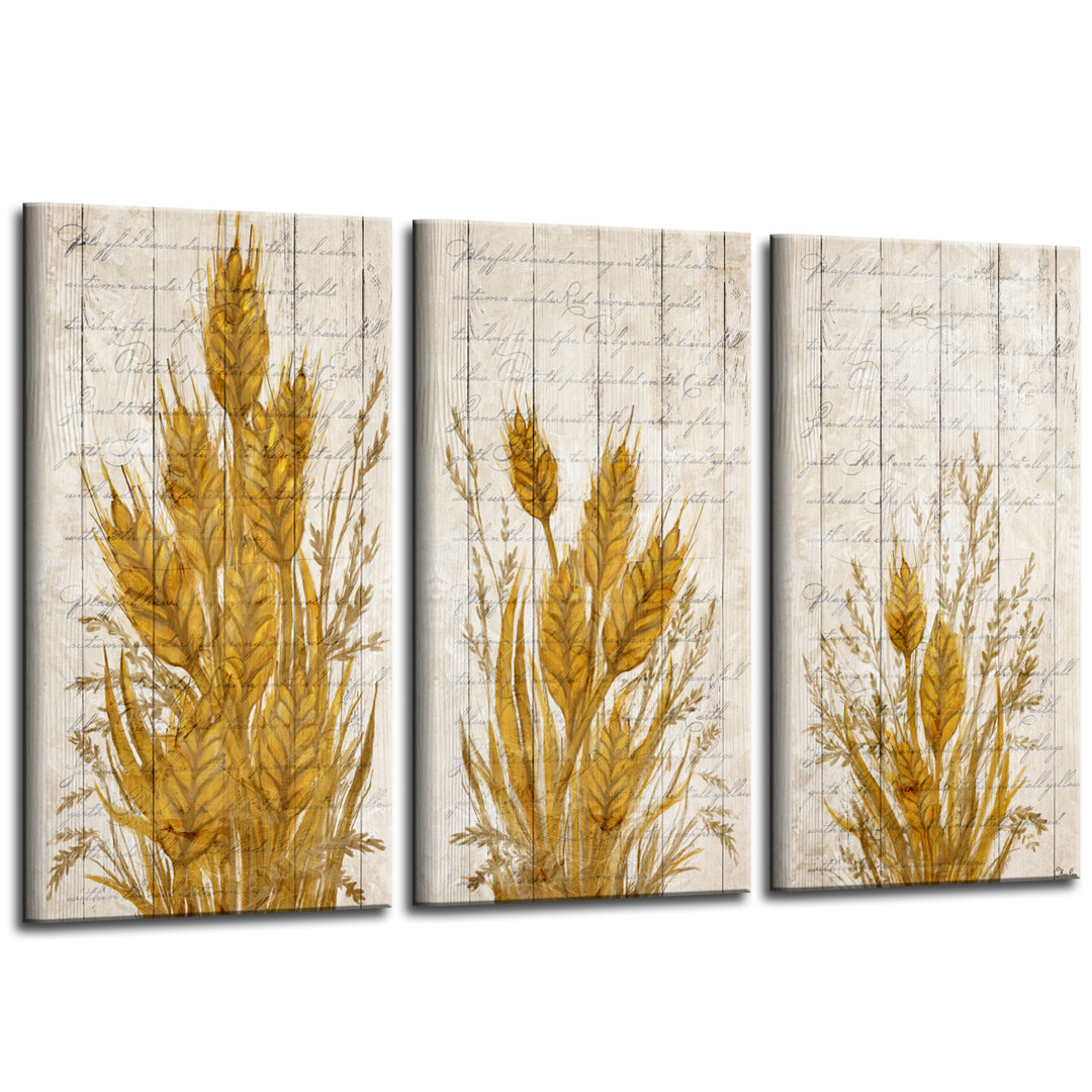 " Harvest Wheat " by Olivia Rose 3 - Pieces August Grove® 