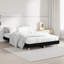 Brotherhood Bed-1725702482-1725702509