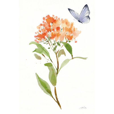 Wild For Wildflowers II
