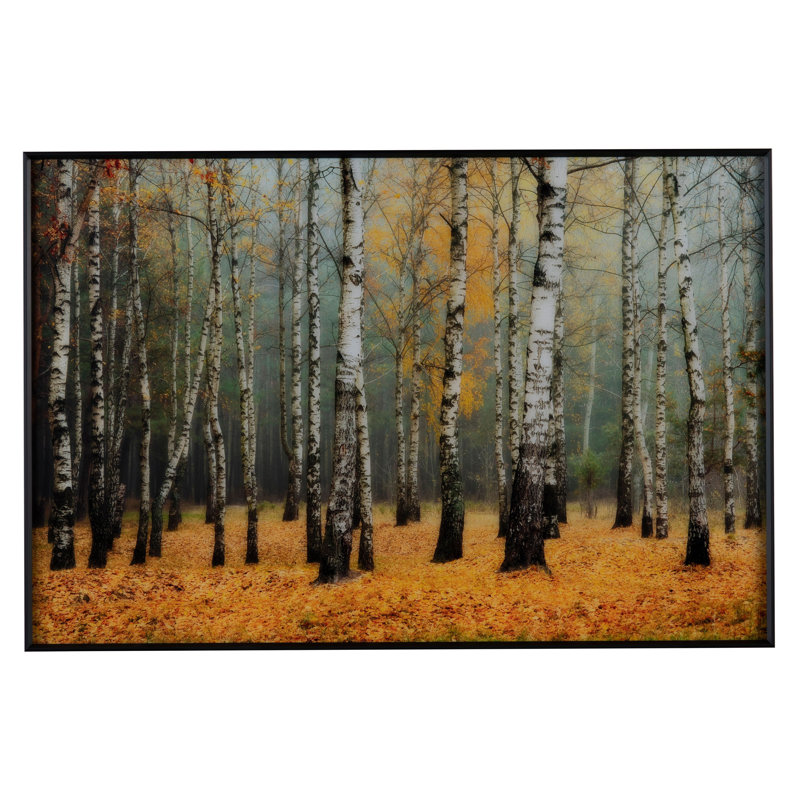 «Rivers Woodland Yellow Birch», art mural encadré