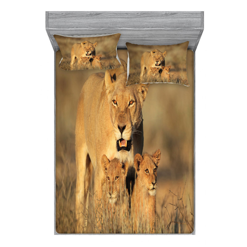 Microfiber Sheet Set, Queen Sheet + Fitted Sheet + 2 Pillowcases