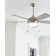 Stembridge 52'' Ceiling Fan with LED Lights