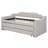 Modern Style Twin Size Upholstered Daybed With Trundle And Three Drawers-1399079383