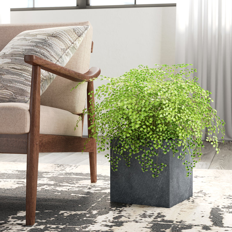 Petit pot à fleurs carré en granit de 10 po avec trous de drainage pour l'intérieur et l'extérieur, Granit