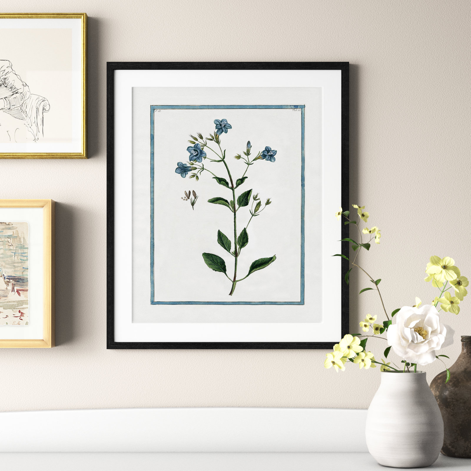 Shabby Elegance Botanical II - Framed Art, Black Framed, 21.5" W x 25.5" H