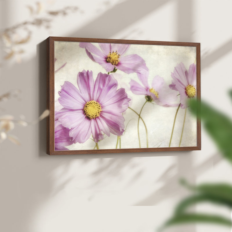 «Pink Cosmos I», reproduction encadrée, H 11 po x l 14 po, Noyer