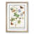 Oak Framed selected