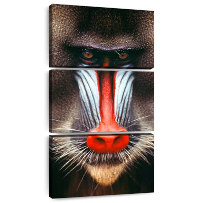 Tête de singe