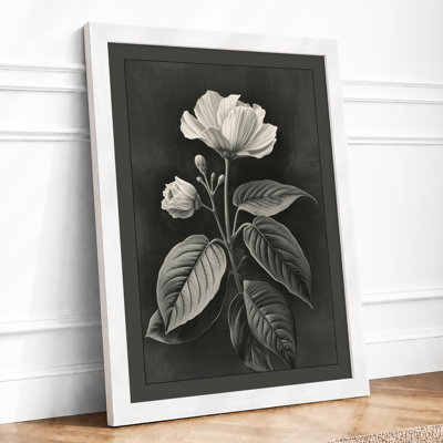 Study in Monochrome Botanical - Framed Print