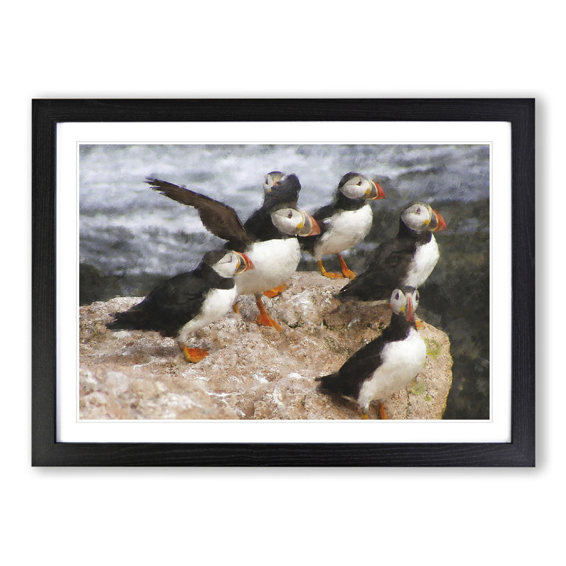 Atlantic Puffin Birds Vol.3 - Picture Frame Graphic Art, Black Framed, 27cm H x 36cm W x 2cm D