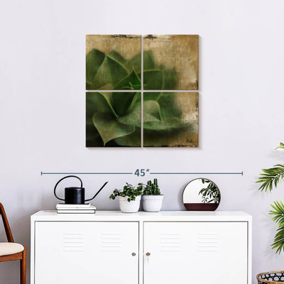 Harnek Succulent II