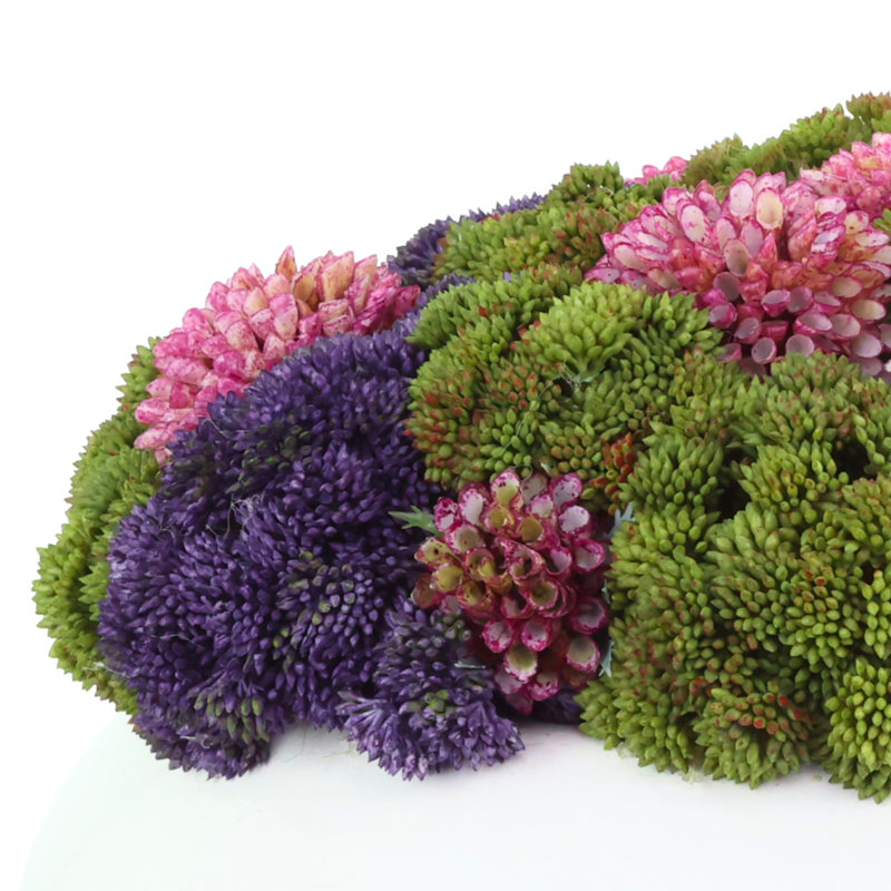 Sédum et arrangement de dahlia