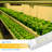 JESLED 20 Watt Grow Light