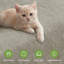 Housse de protection chenille anti-dérapante lavable pour les animaux de compagnie-1108998776-1108998756