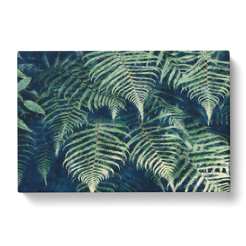 Fern Leaves Vol.1 Painting - Wrapped Canvas, 35cm H x 50cm W x 3cm D