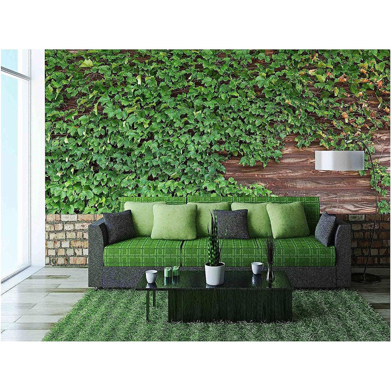 Peel & Stick Border, 66" L x 96" W