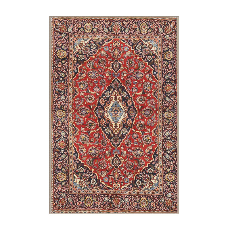 Dabirvaziri Oriental Indoor Rug, Rectangle 4' x 6'