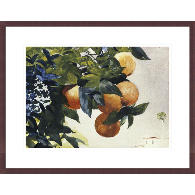 «Oranges on a Branch» par Winslow Homer, impression giclée encadrée, H 17,07 po x l 21,75 po