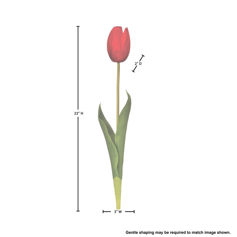 Tulipe Holland 23 "Just Cut, Rouge