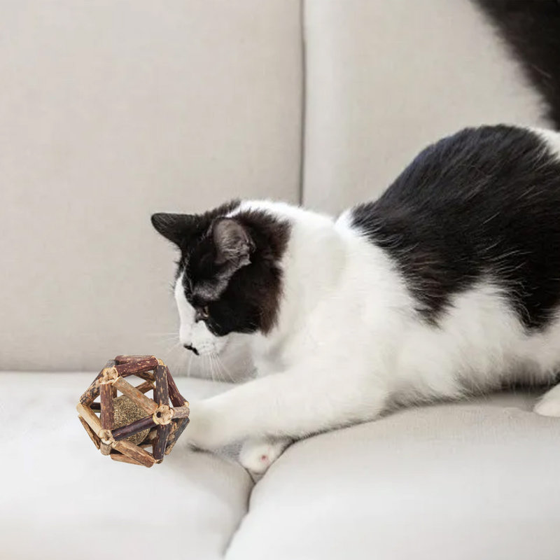 jouets pour chats, jouets pour chats Catnip, A