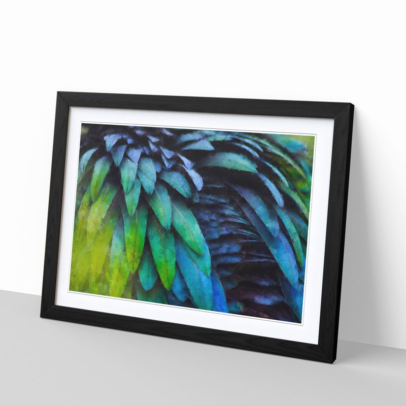 Parrot Feathers - Single Picture Frame Print on MDF, 33cm H x 45cm W x 2cm D, Black