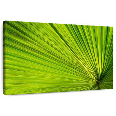 Harnek Fan Palm Leaf