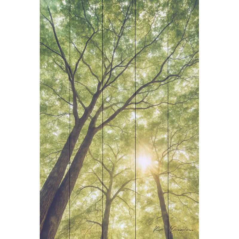 Impression sur toile Golden Sun, H 48 po x l 36 po