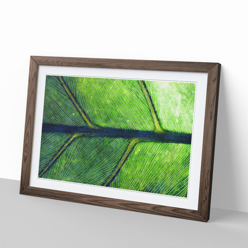 Leaf Detail - Picture Frame Painting, 48cm H x 65cm W x 2cm D, Walnut Framed