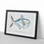 Illustration of a Rays Bream Fish by F.E. Clarke - Picture Frame Graphic Art Print-55579716-55579719
